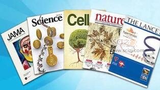 电机论文可以投的sci